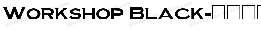 Workshop Black字体转换
